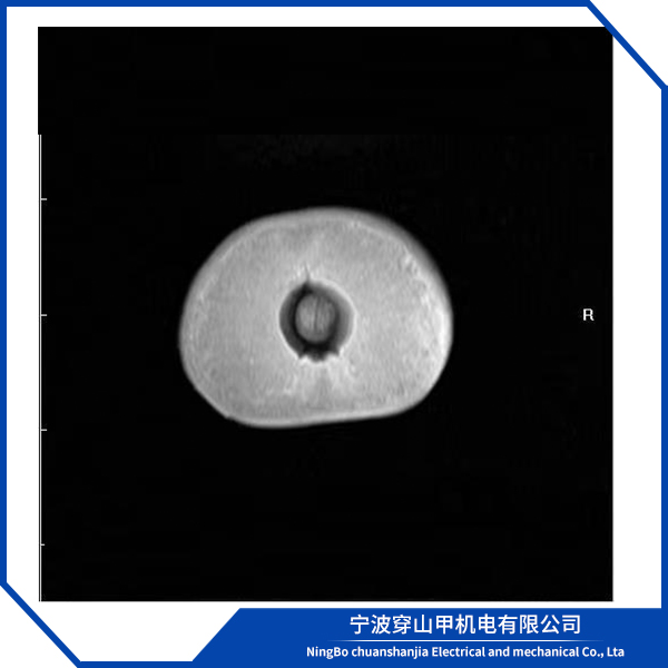 磁共振成像教学系统